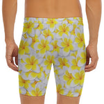 Frangipani Flower Print Men's Long Boxer Briefs