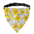 Frangipani Flower Print Over The Collar Dog Bandana