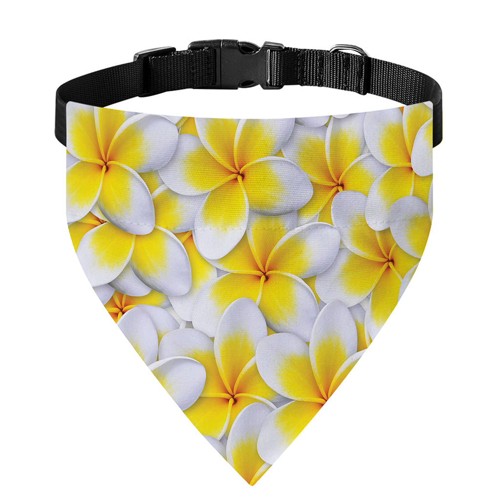 Frangipani Flower Print Over The Collar Dog Bandana