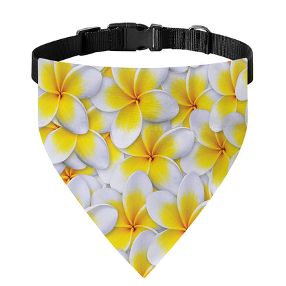 Frangipani Flower Print Over The Collar Dog Bandana
