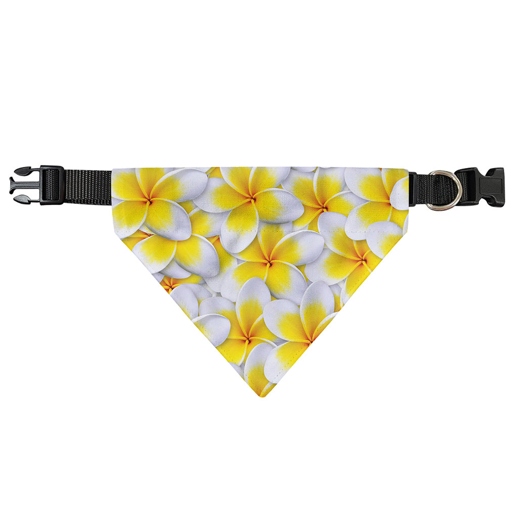 Frangipani Flower Print Over The Collar Dog Bandana