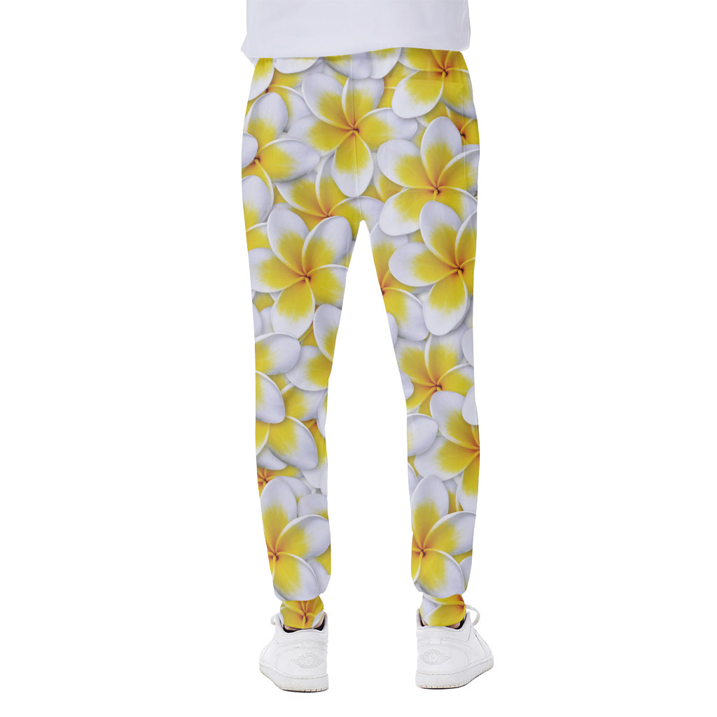 Frangipani Flower Print Scuba Joggers