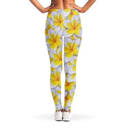 Frangipani Flower Print Women's Leggings