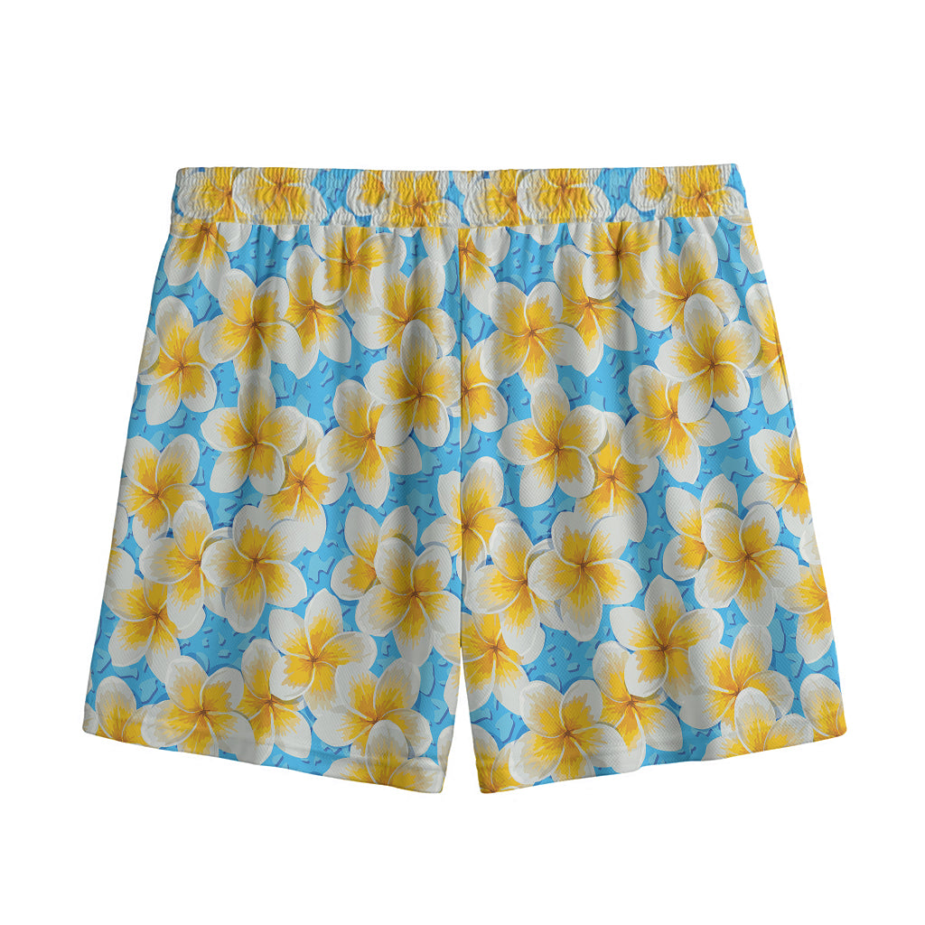 Frangipani On The Water Pattern Print Mesh Shorts