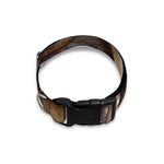Freemasonry Emblem Print Dog Collar