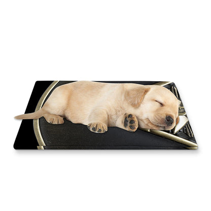 Freemasonry Medal Print Pet Cooling Mat Cover