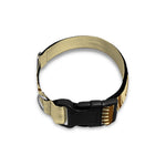 Freemasonry Symbol Print Dog Collar