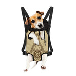 Freemasonry Symbol Print Pet Carrier Backpack