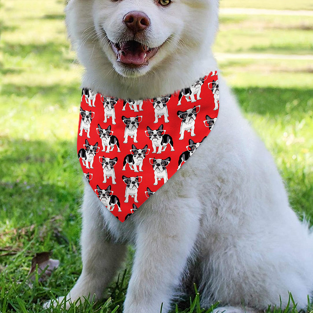 French Bulldog With Glasses Print Over The Collar Dog Bandana