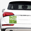 Fresh Cabbage Leaf Print Car Sticker