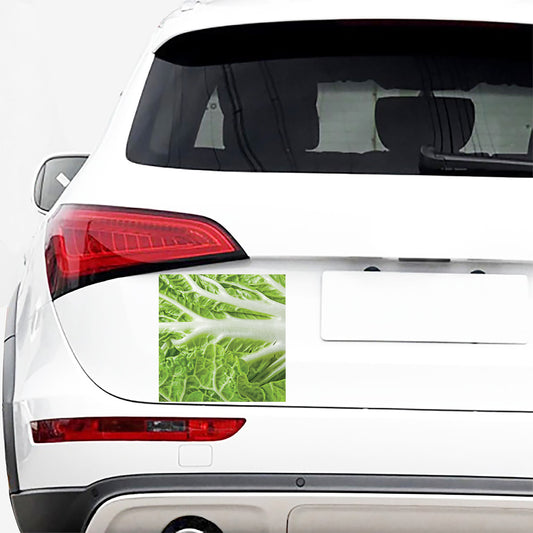 Fresh Cabbage Leaf Print Car Sticker