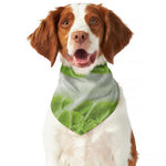 Fresh Cabbage Leaf Print Dog Bandana