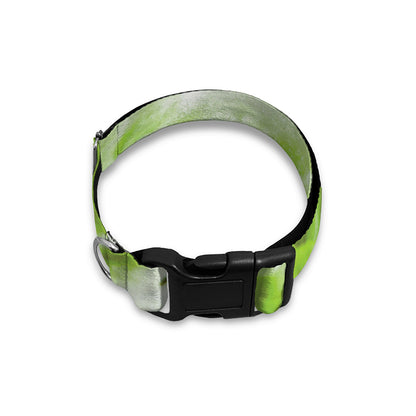 Fresh Cabbage Leaf Print Dog Collar