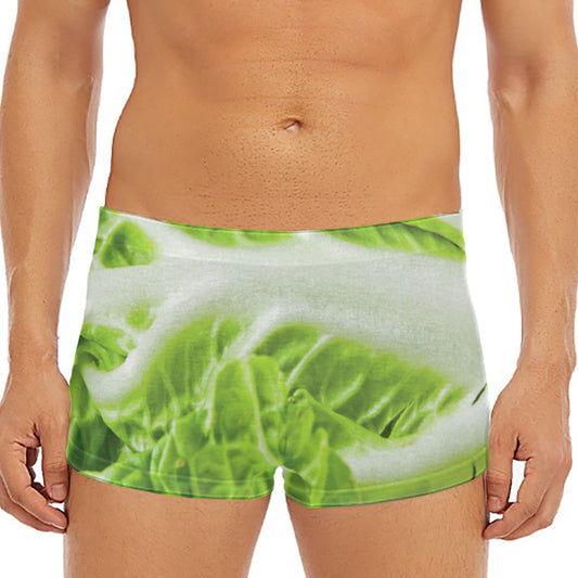 Fresh Cabbage Leaf Print Men's Short Boxer Briefs