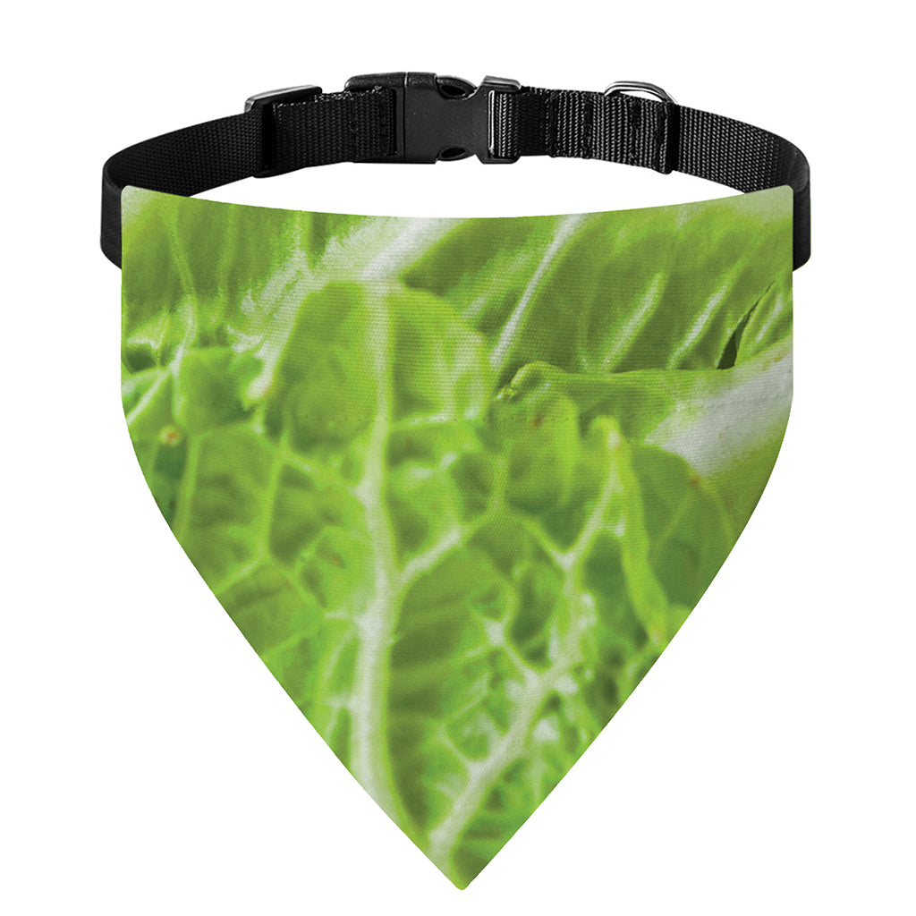 Fresh Cabbage Leaf Print Over The Collar Dog Bandana
