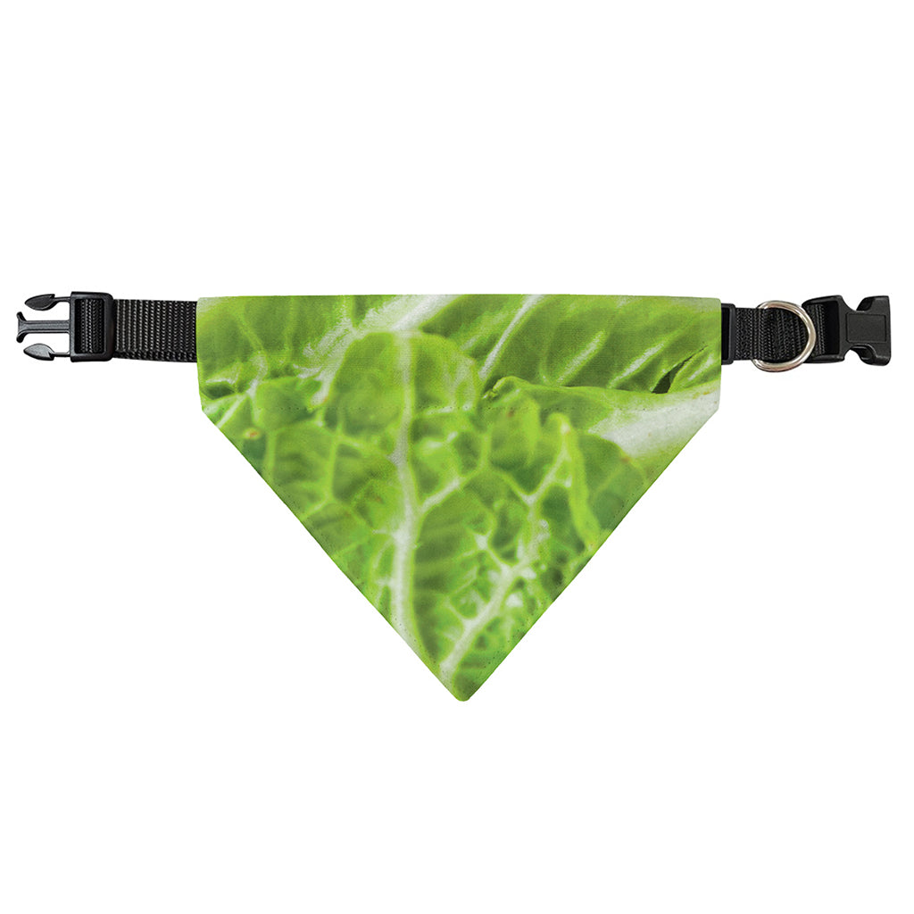 Fresh Cabbage Leaf Print Over The Collar Dog Bandana