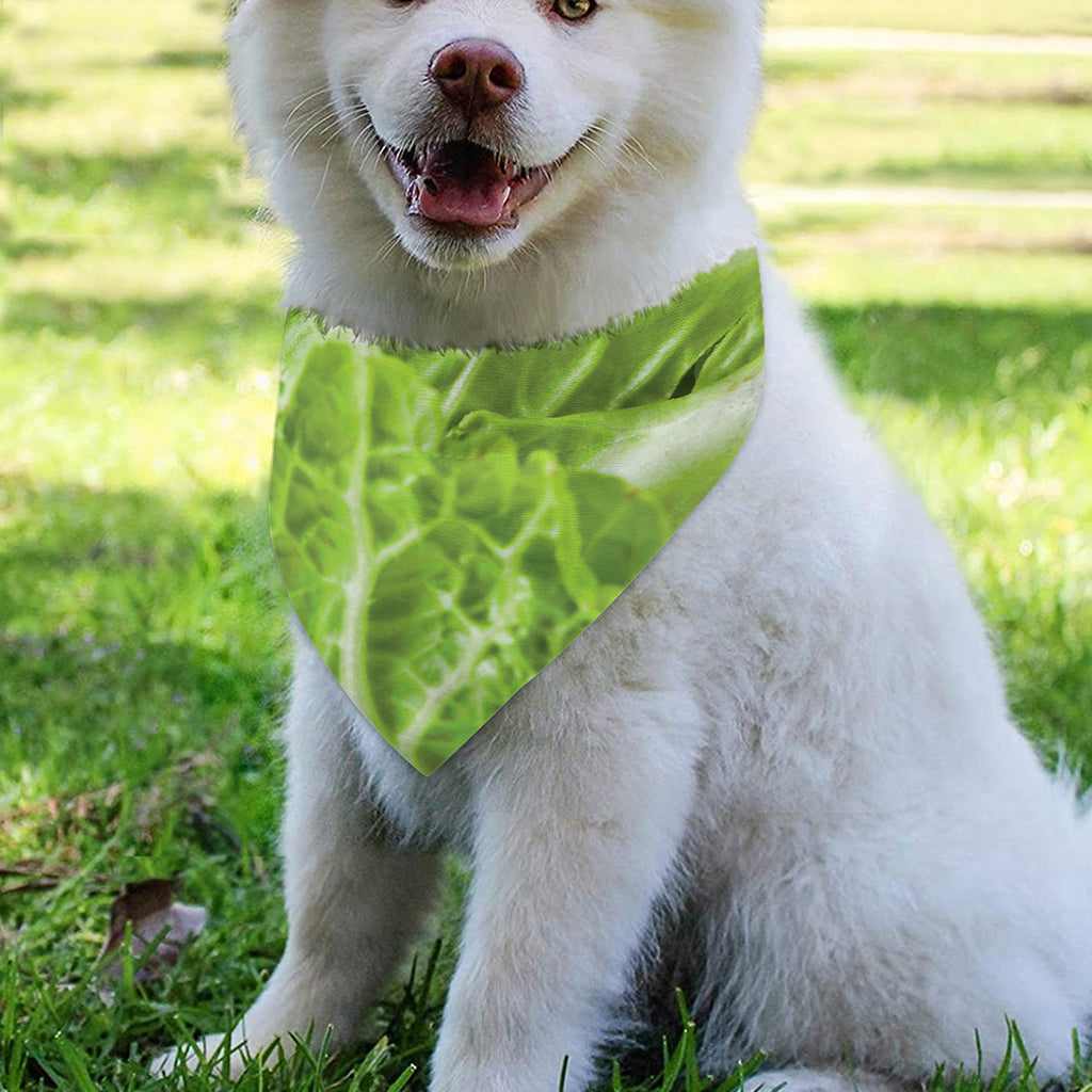 Fresh Cabbage Leaf Print Over The Collar Dog Bandana
