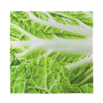 Fresh Cabbage Leaf Print Silk Bandana