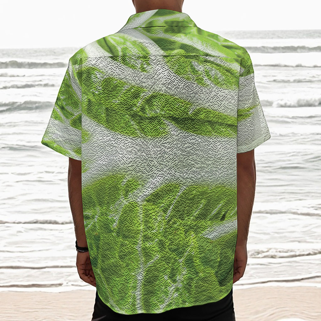 Fresh Cabbage Leaf Print Textured Short Sleeve Shirt