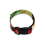 Fresh Fruits And Vegetables Print Dog Collar