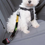 Fresh Fruits And Vegetables Print Dog Seat Belt