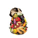 Fresh Fruits And Vegetables Print Dog Zip Up Jacket