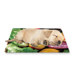 Fresh Fruits And Vegetables Print Pet Cooling Mat Cover