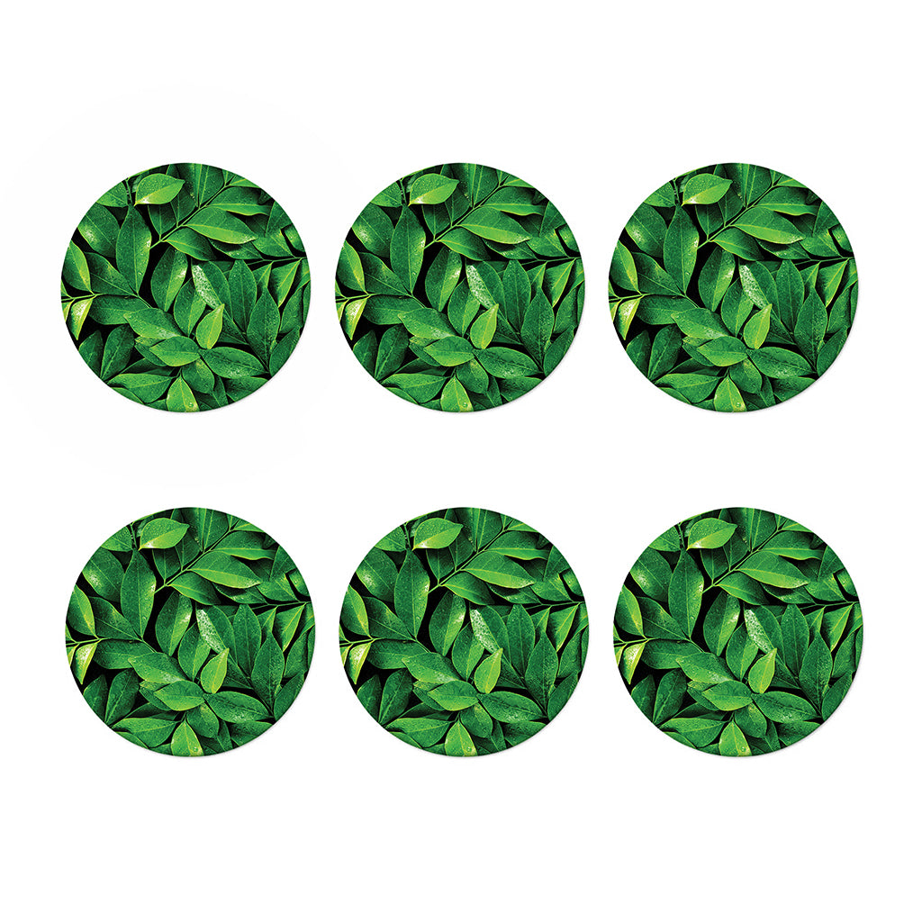 Fresh Green Leaf Print Coaster Set