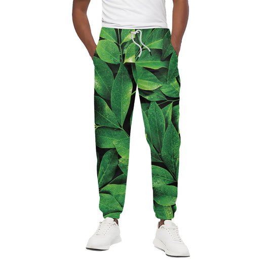 Fresh Green Leaf Print Cotton Pants