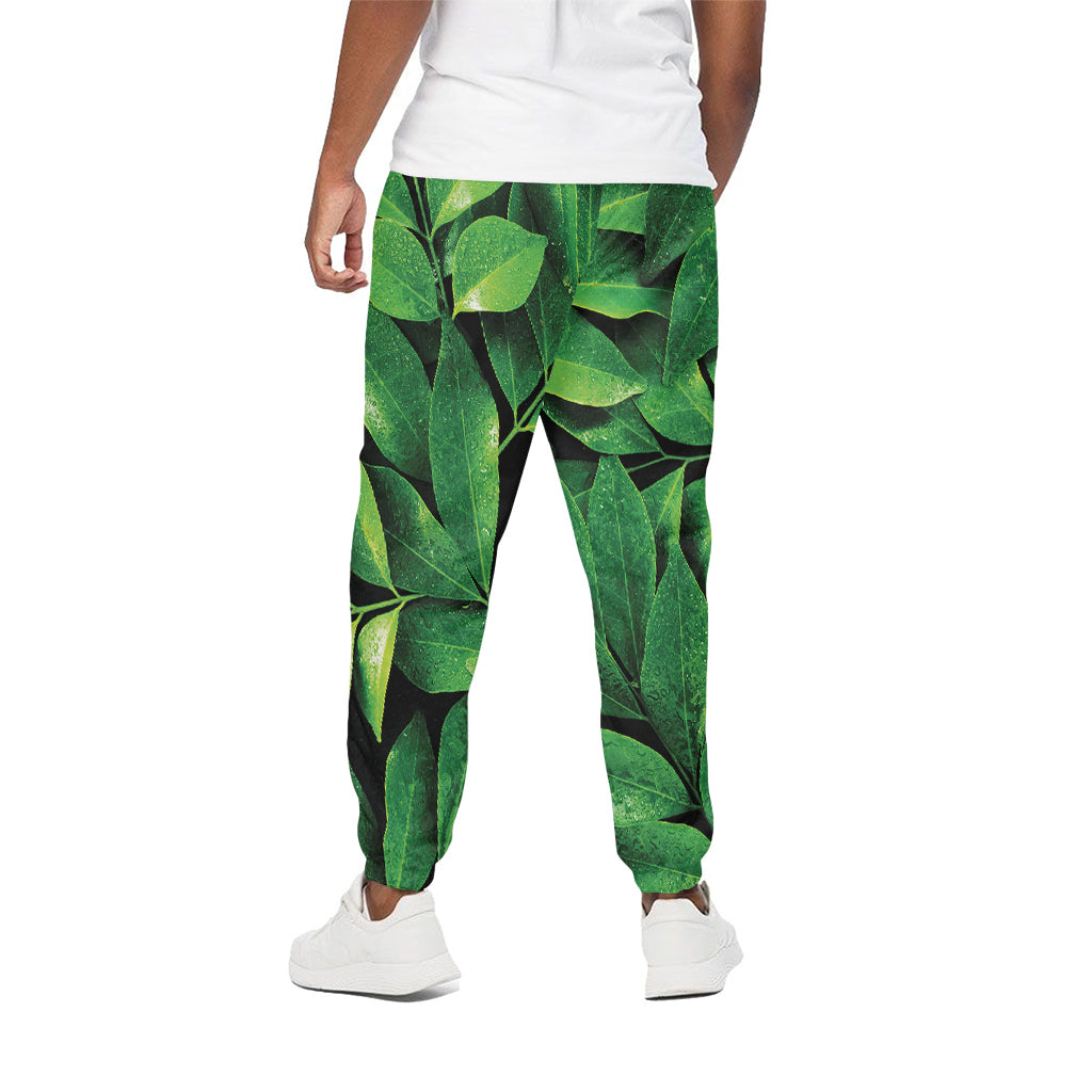 Fresh Green Leaf Print Cotton Pants