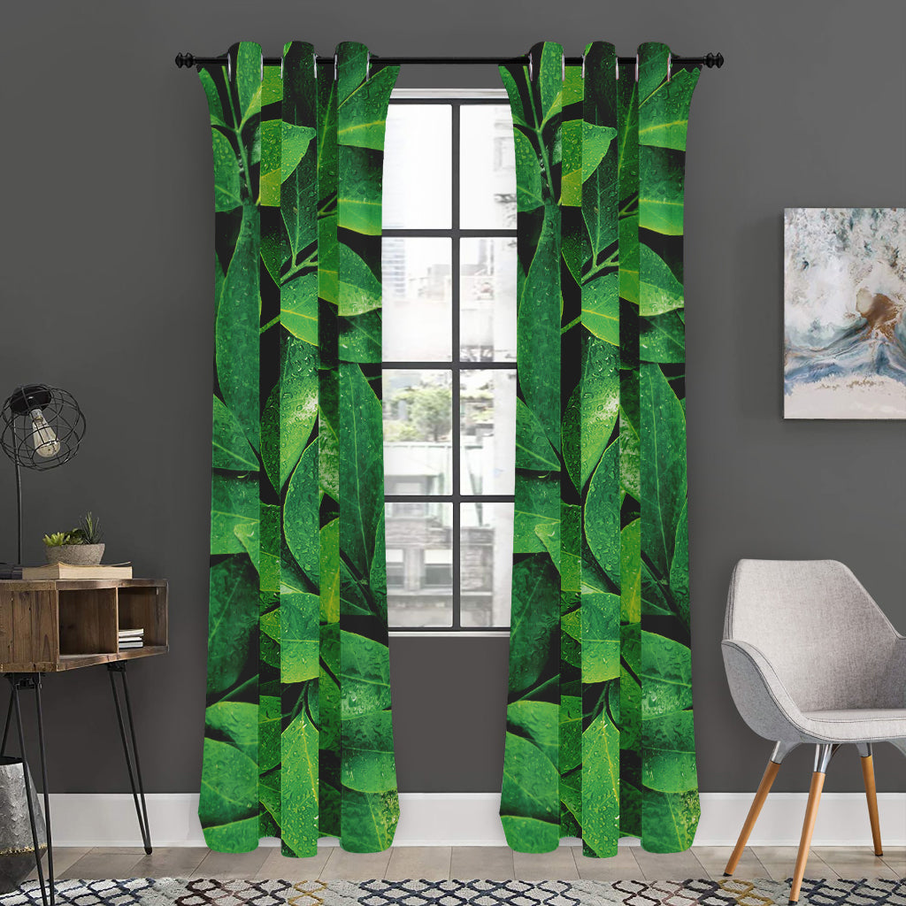 Fresh Green Leaf Print Curtain