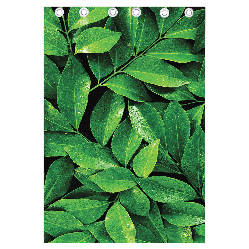 Fresh Green Leaf Print Curtain