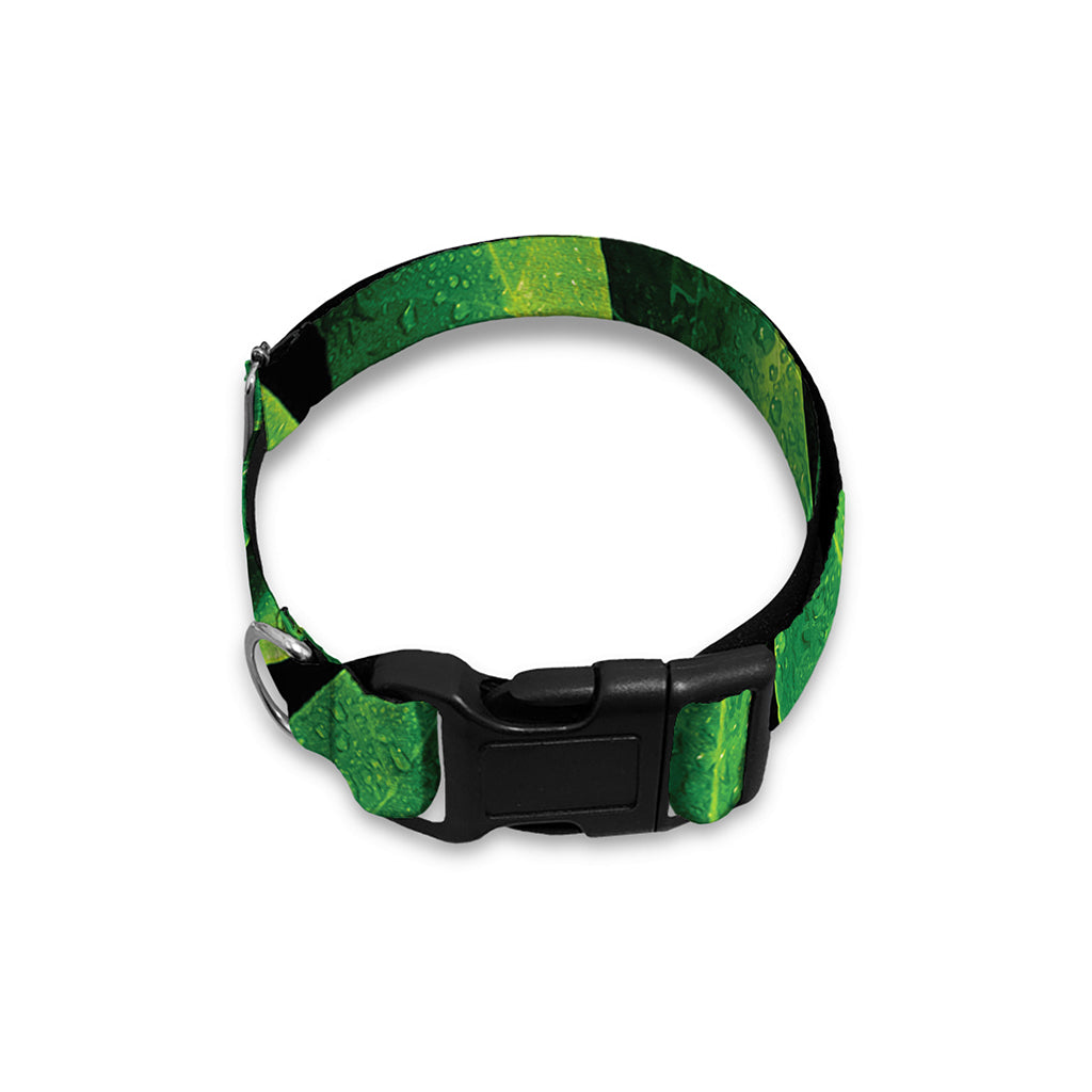Fresh Green Leaf Print Dog Collar