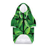 Fresh Green Leaf Print Dog Zip Up Hoodie