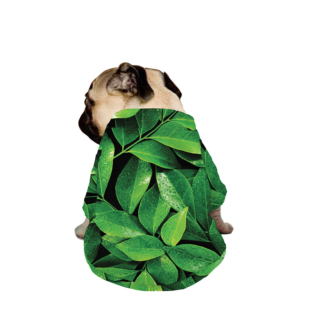 Fresh Green Leaf Print Dog Zip Up Jacket