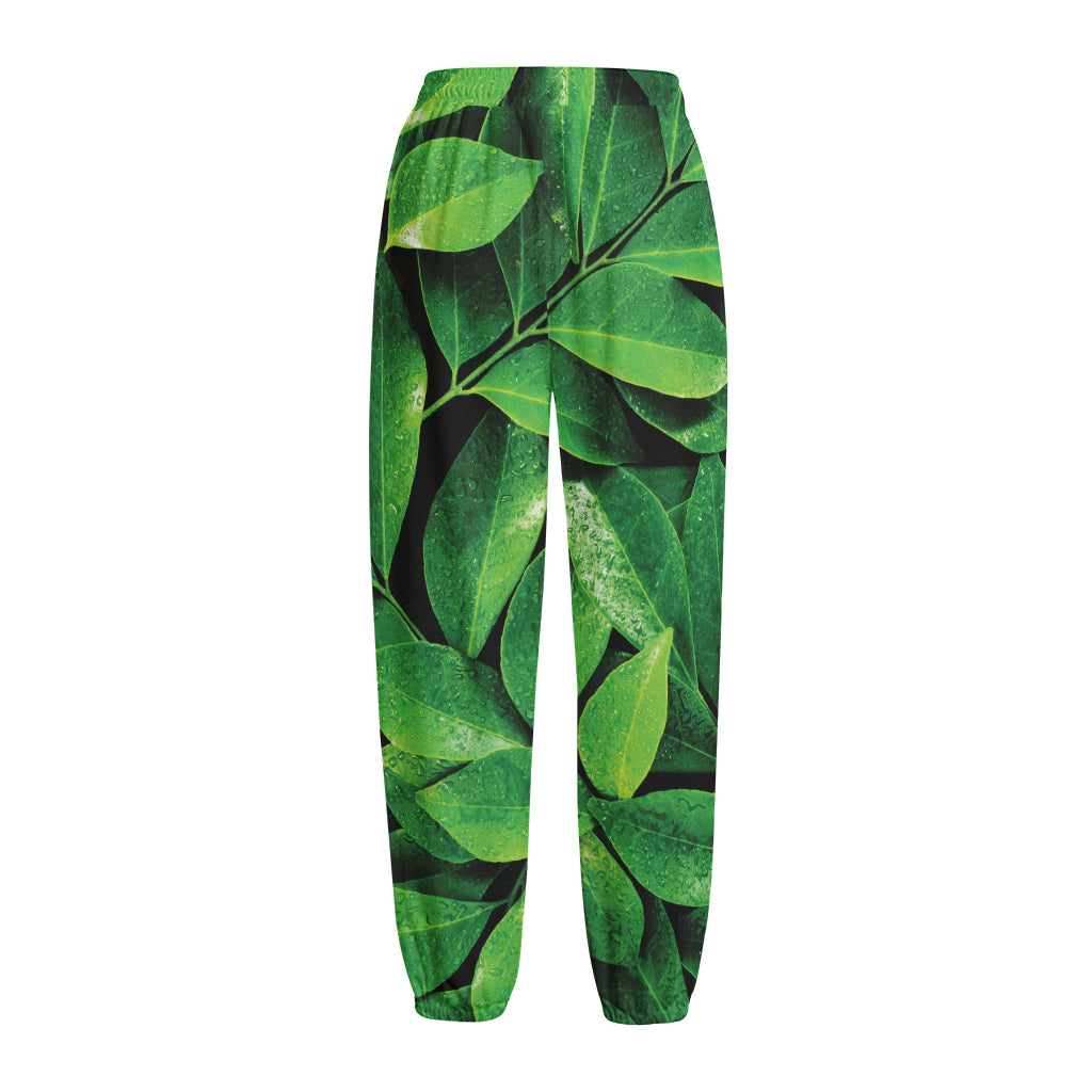 Fresh Green Leaf Print Fleece Lined Knit Pants