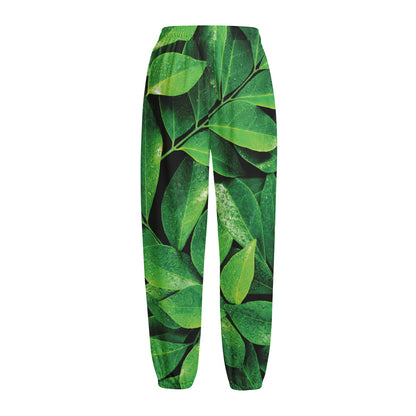 Fresh Green Leaf Print Fleece Lined Knit Pants