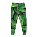Fresh Green Leaf Print Jogger Pants