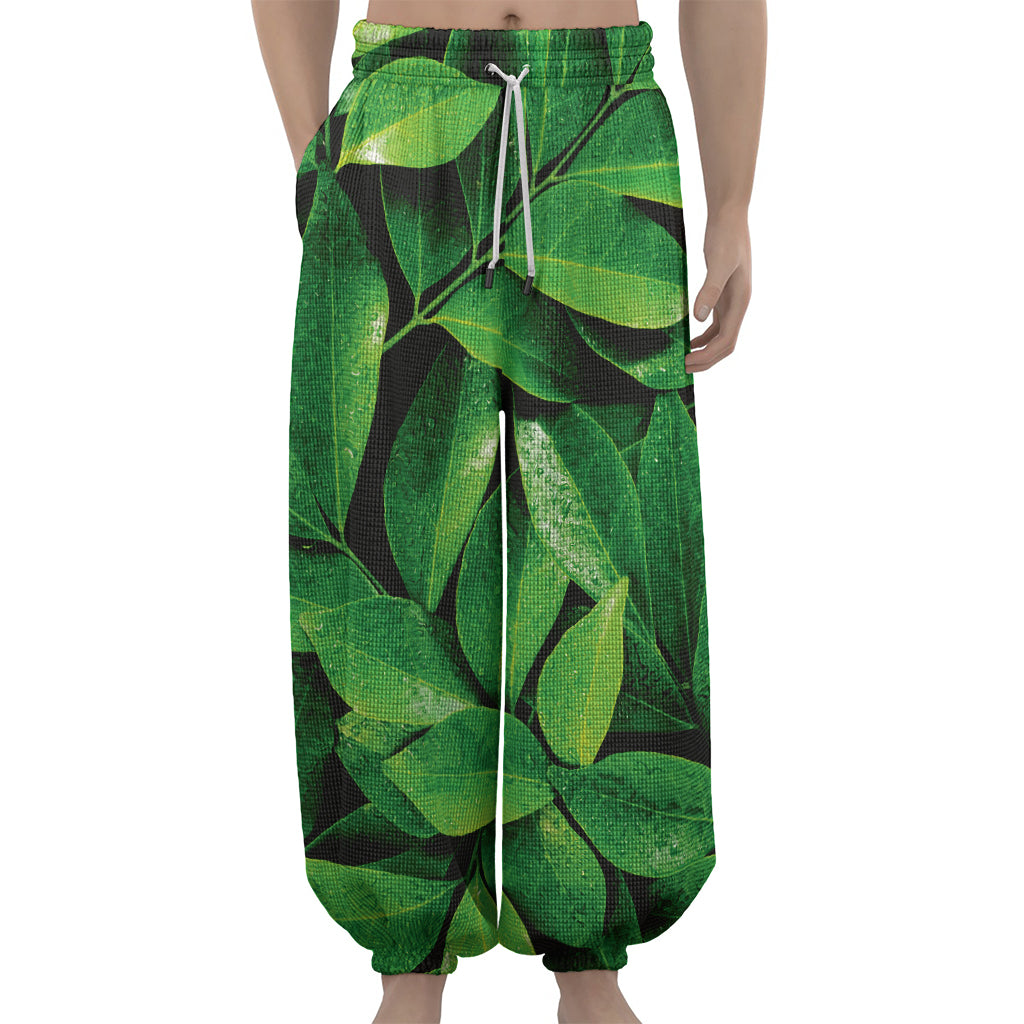 Fresh Green Leaf Print Lantern Pants