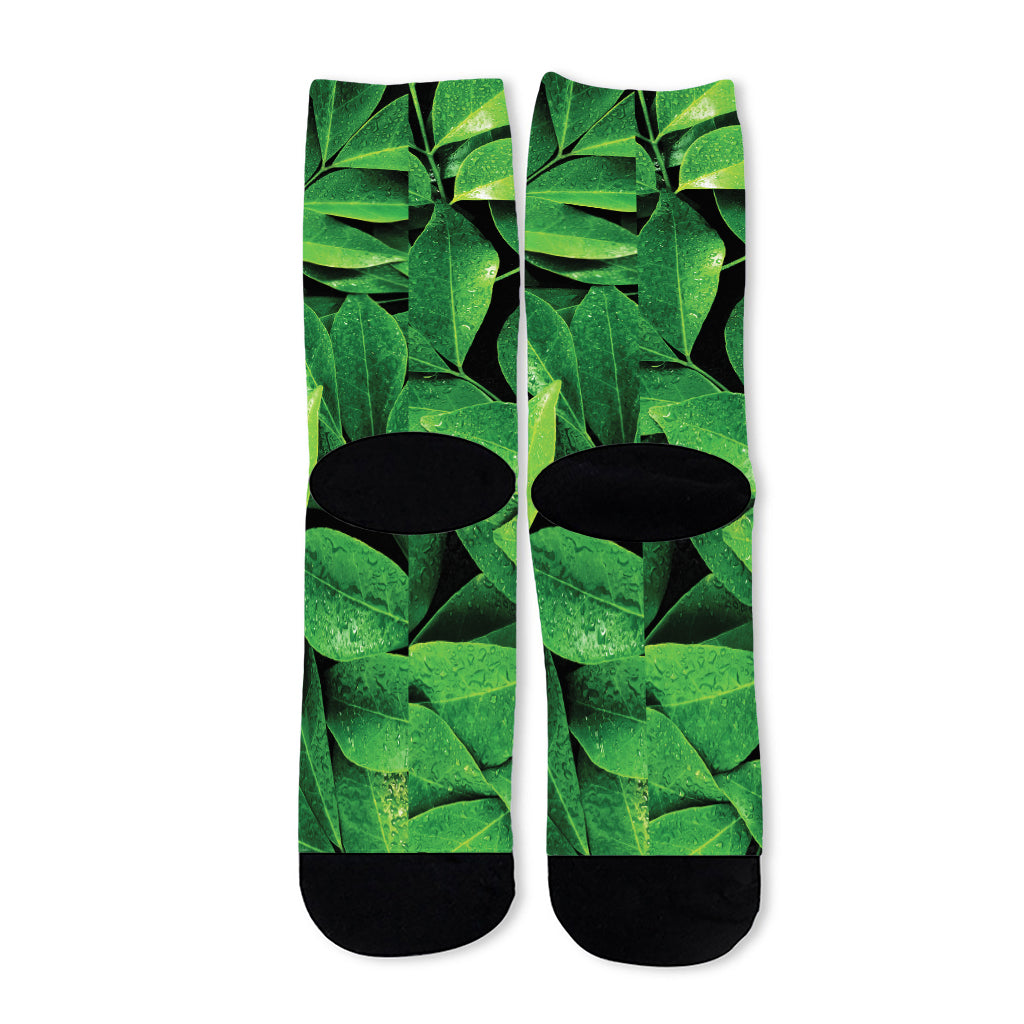 Fresh Green Leaf Print Long Socks