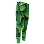 Fresh Green Leaf Print Men's Compression Pants