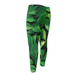 Fresh Green Leaf Print Men's Compression Pants