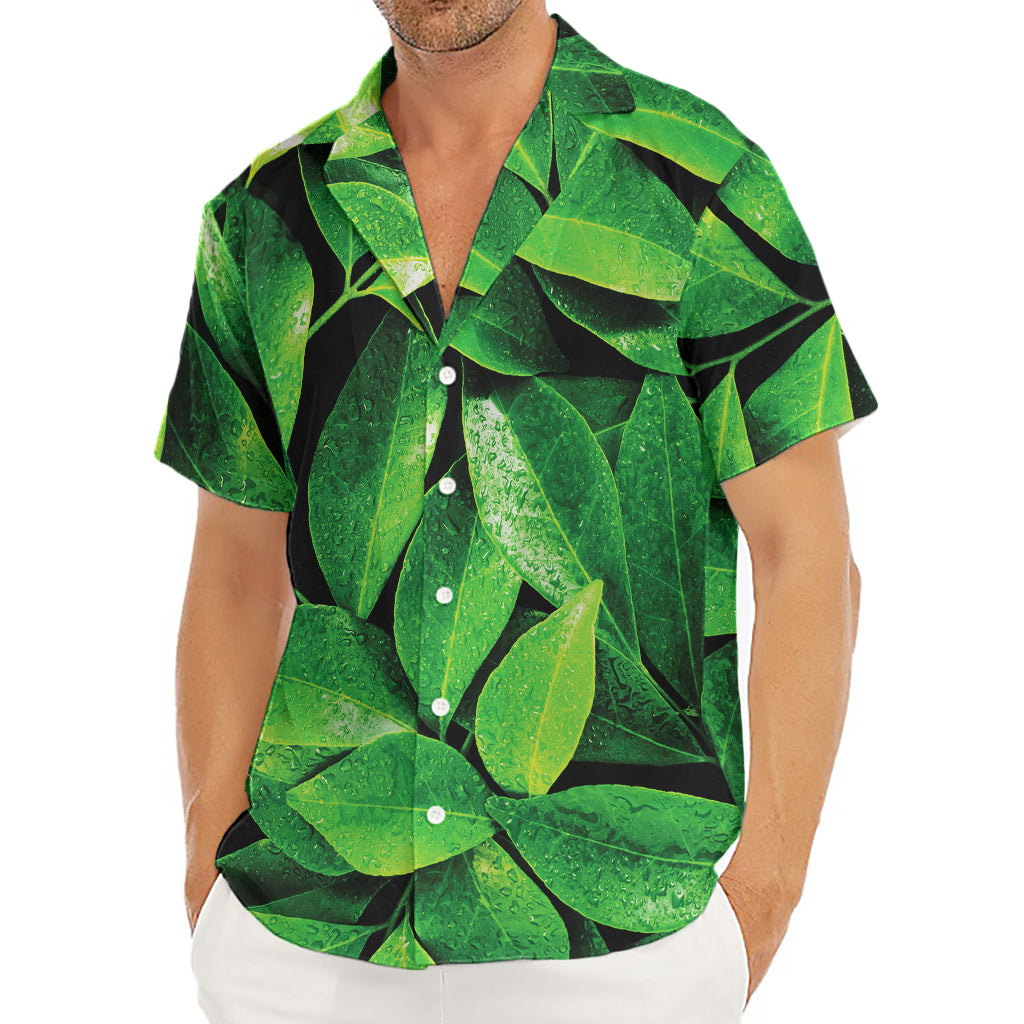 Fresh Green Leaf Print Men's Deep V-Neck Shirt