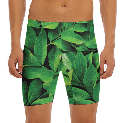 Fresh Green Leaf Print Men's Long Boxer Briefs