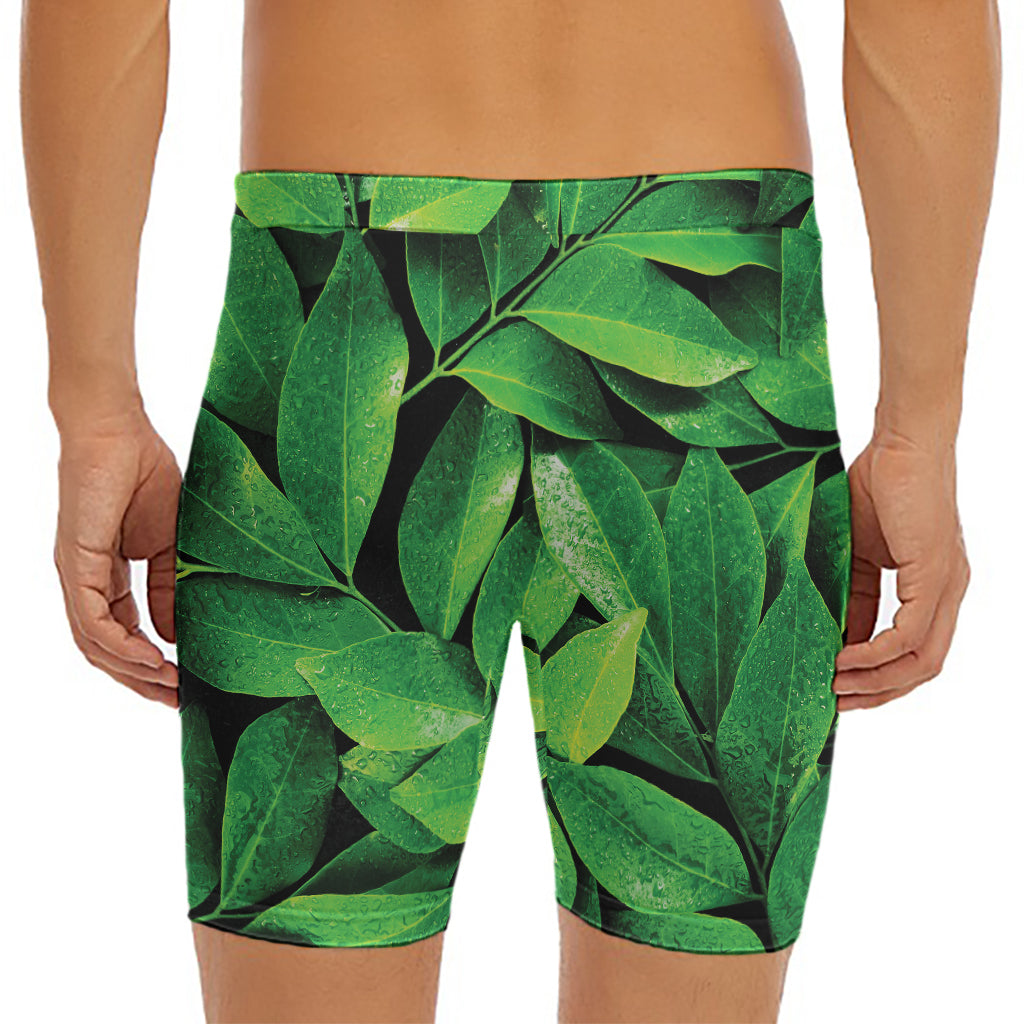 Fresh Green Leaf Print Men's Long Boxer Briefs
