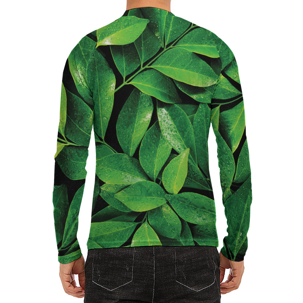 Fresh Green Leaf Print Men's Long Sleeve Rash Guard