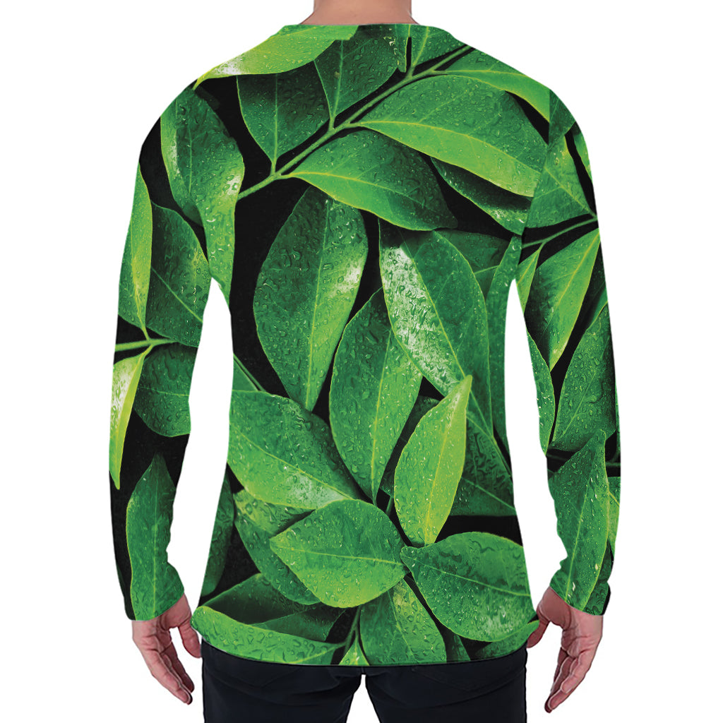 Fresh Green Leaf Print Men's Long Sleeve T-Shirt