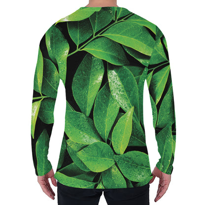 Fresh Green Leaf Print Men's Long Sleeve T-Shirt