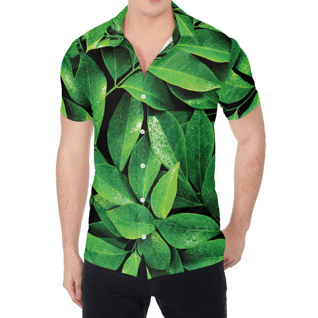 Fresh Green Leaf Print Men's Shirt