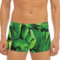 Fresh Green Leaf Print Men's Short Boxer Briefs